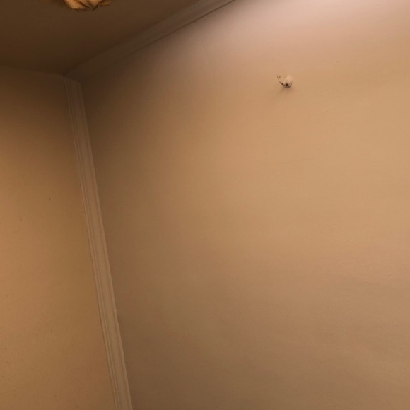 Meet your Posher, Dawnmarie - Picture 1 of 1